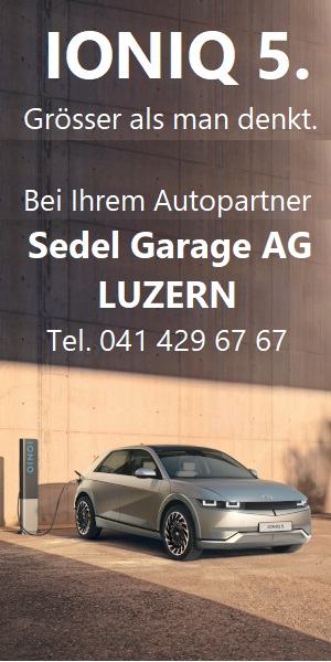The Car Market For Ecological Cars In Switzerland Search Or Offer Your Electric Car On Ecologicar Ch Used And New Cars